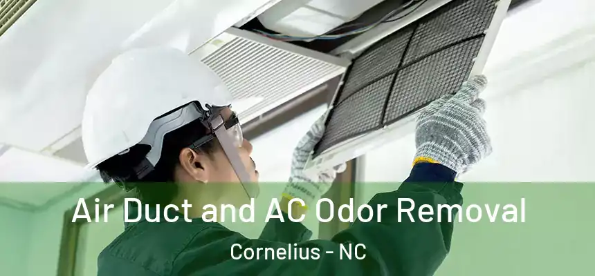  Air Duct and AC Odor Removal Cornelius - NC