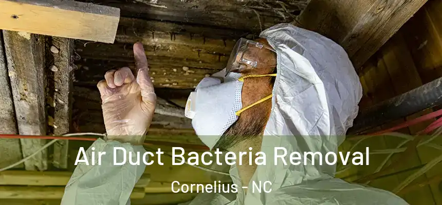  Air Duct Bacteria Removal Cornelius - NC