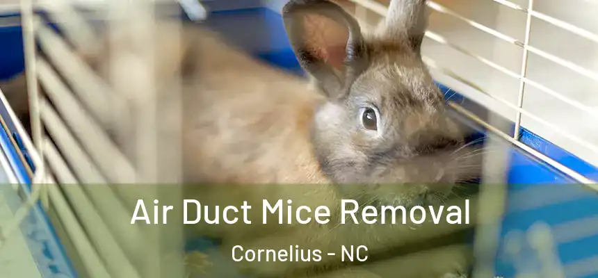 Air Duct Mice Removal Cornelius - NC