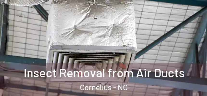  Insect Removal from Air Ducts Cornelius - NC