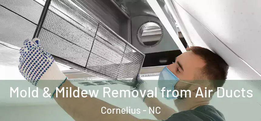  Mold & Mildew Removal from Air Ducts Cornelius - NC
