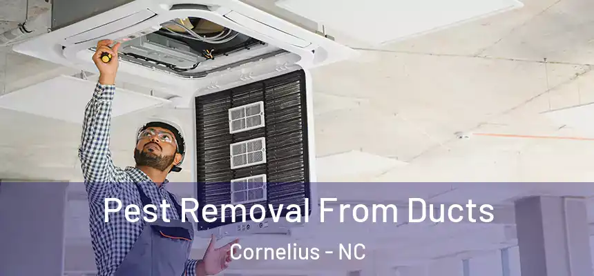 Pest Removal From Ducts Cornelius - NC
