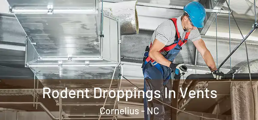  Rodent Droppings In Vents Cornelius - NC