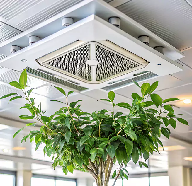 Why Homeowners & Businesses Trust Us in Cornelius, NC