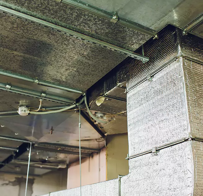 Why Homeowners & Businesses Trust Us in Cornelius, NC?